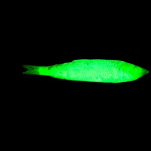 8043 Atlas Mike’s UV Enhancer – Chartreuse